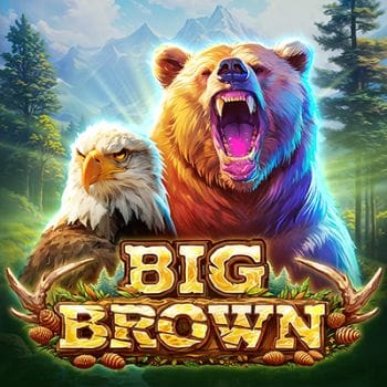 Big Brown Bear